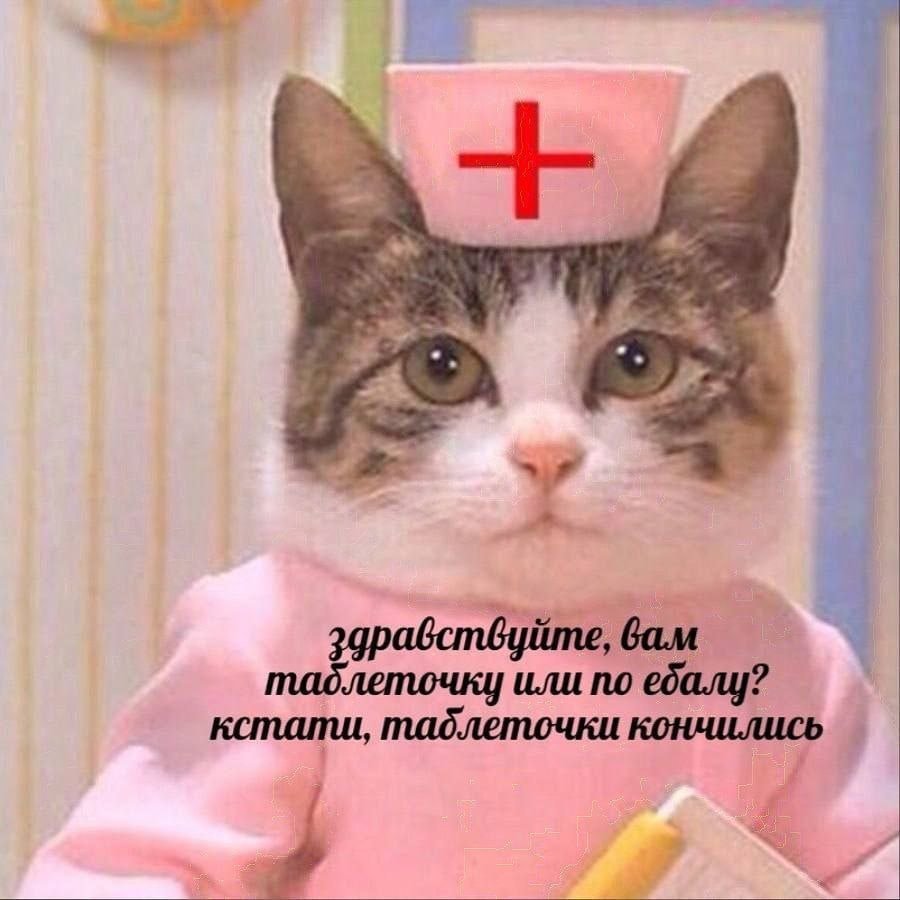 кот доктор. три кота доктор игра для детей. три кота больница игра. кот доктор. три кота больница игра.