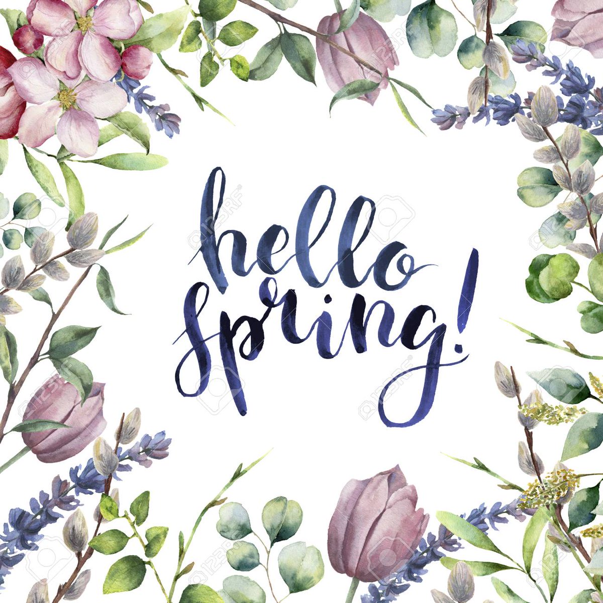 It's here... the day that has been 'just around the corner' for the last few months! 

#firstdayofspring #spring #finallyhere