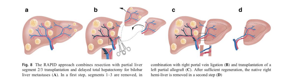 Philip C. Müller tweet media