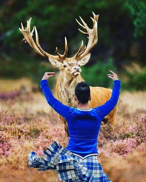 Even if it needs to be from a safe distance, always look for someone to #dance with!
#HighlandDance #LoveScotland #Deer #ScottishBanner #LoveHighlandDance #Scotland #Alba #ScotlandIsNow #AmazingScotland #KeepTheHeid #HighlandDancer