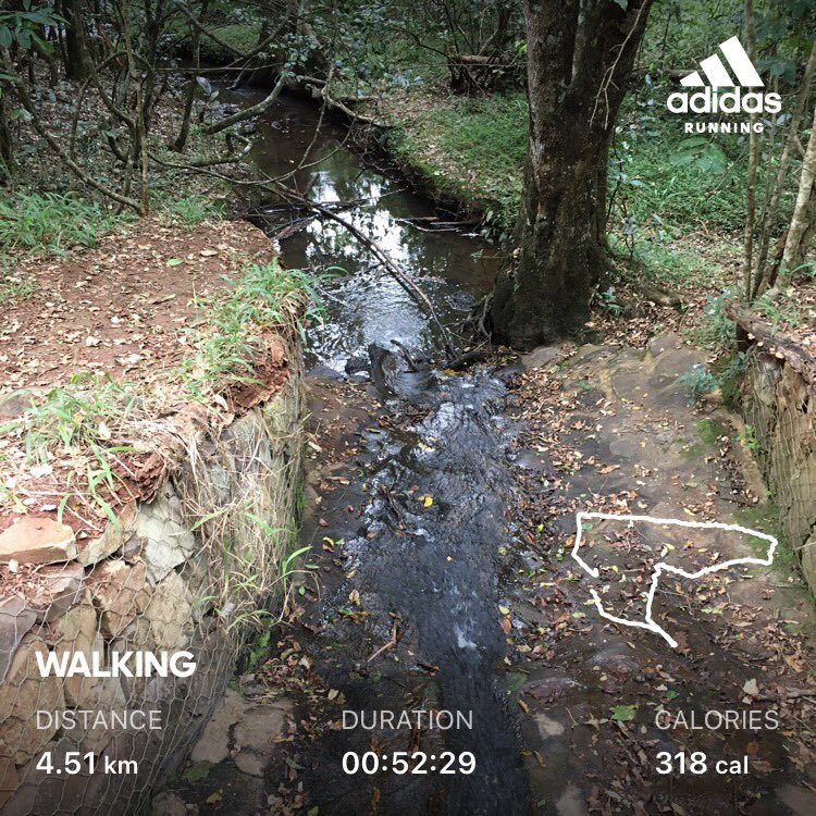 MumbaMusondam's tweet photo. Today is #HappinessDay and so l find happiness in the green spaces that are so healing & great for my soul and Well-being 🙏🏽🙏🏽👇🏽 #RunnerDiplomat #RunnerMum #KaruraForestInNairobi #MyHappyPlace #GreenCities @TeamJashoKE https://t.co/pUb9I9EzO6