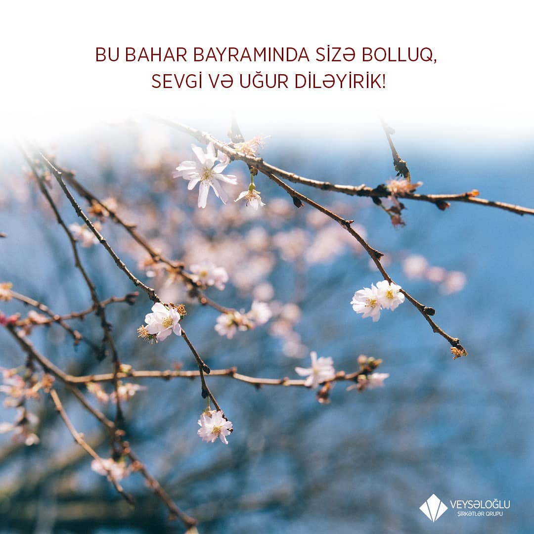 Əziz və dəyərli həmvətənlərimiz, hər birinizi baharın gəlişi və xalqımızın qədim bayramı Novruz münasibətilə təbrik edirik! Bayramınız Mübarək!
#NovruzBayramı #baharıngəlişi #VeysəloğluŞirkətlərQrupu