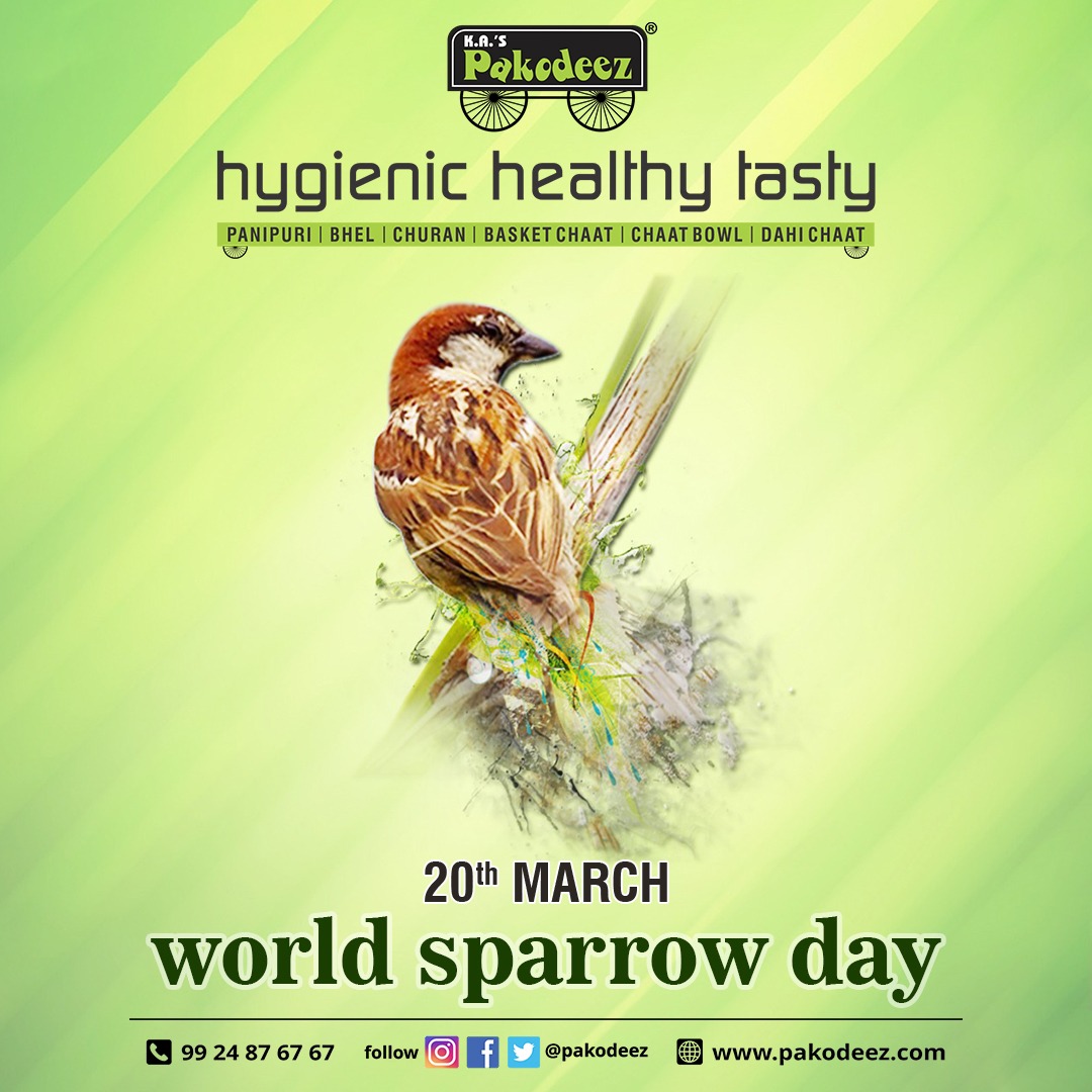 pakodeez's tweet photo. every life is worth something. save lives, save sparrows. happy world sparrow day.

#worldsparrowday #sparrow #birds #savebirds #protect #nature #pakodeez #pakodeezahmedabad https://t.co/wMcjXoAv6k