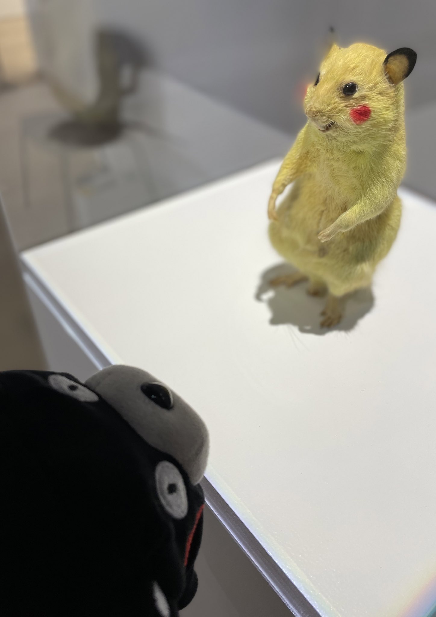 Kumamon Daisukidamon くまモン大好きだモン 구마몬 다이스키다몬 平成美術 うたかたと瓦礫 デブリ 19 19 京都市京セラ美術館 ピカチュウ ネズミと くまモン君 T Co Aoy6lmkwbb Twitter