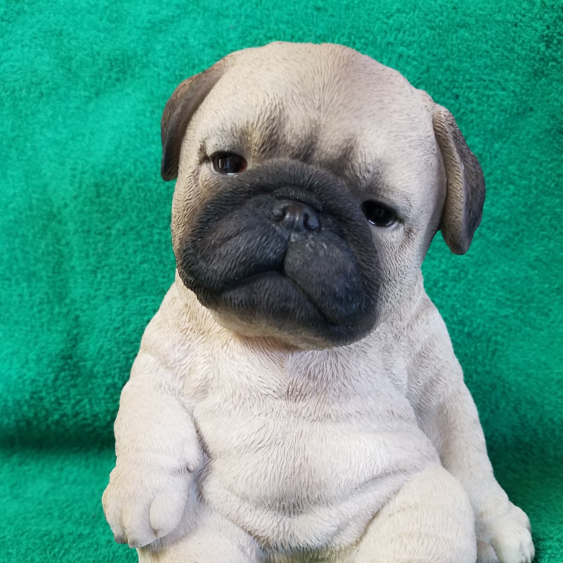 Pug rescue store milwaukee