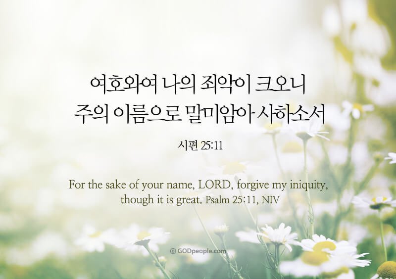 choi young sun(최영선) (@holyyoung) on Twitter photo 