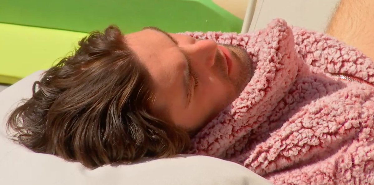 BIG BROTHER ARCHIVE tweet media