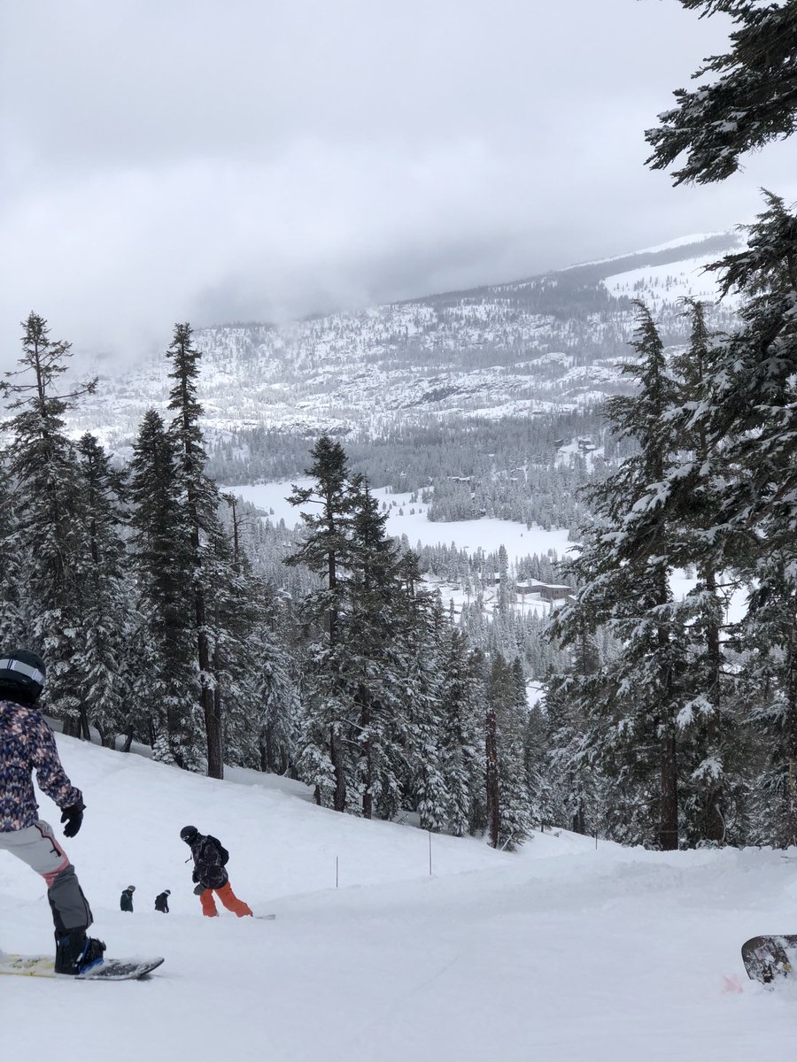 Moxy Ruckus (@MoxyRuckus) | Twitter