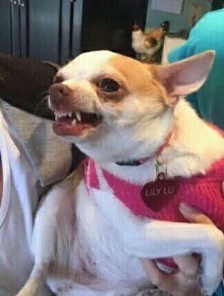 PORQUE NO LO ERES, NI LO FUISTE Y TAMPOCO LO SERÁS.