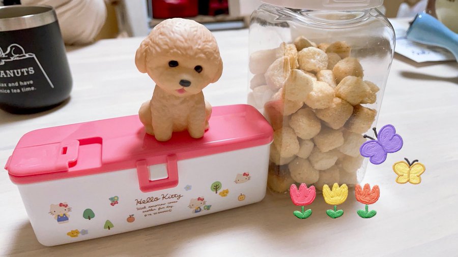 おすすめの赤ちゃん用おやつケースは １００均 トイザらス比較まとめ