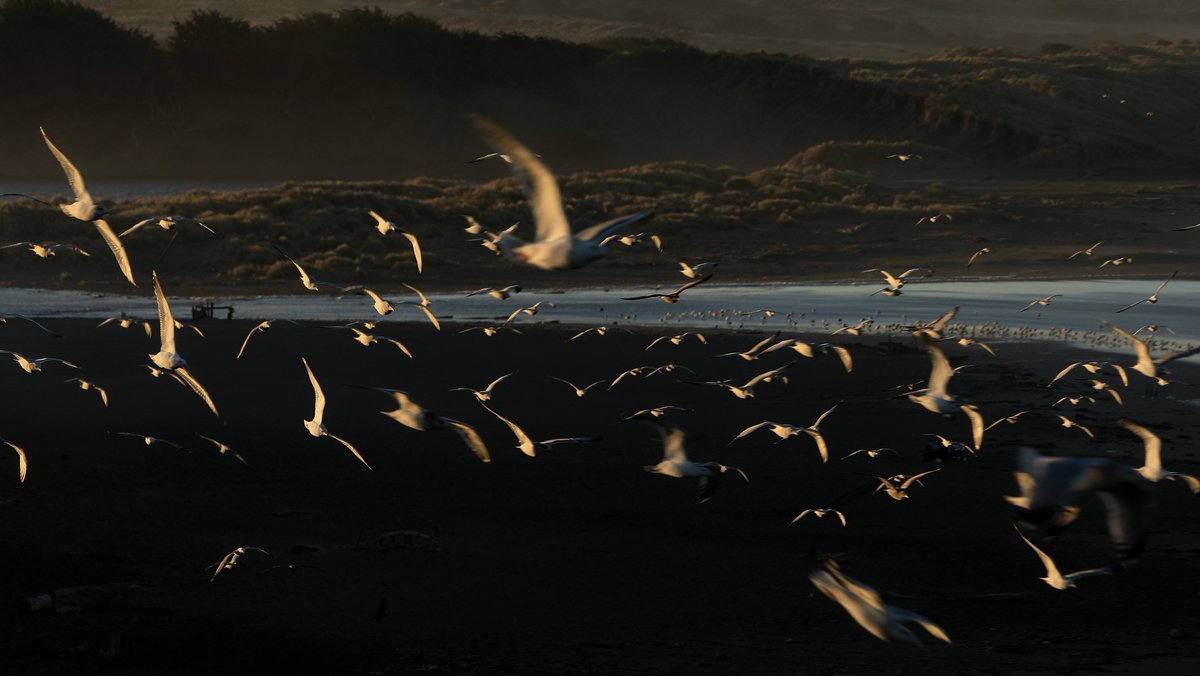 A couple of months ago, I worked on a <a href="/sonomamag/">Sonoma Magazine</a> assignment on wine country drives.  Even though some of the images didn't make it in to publication, I still like the feel of the light. <a href="/NorthBayNews/">The Press Democrat</a>