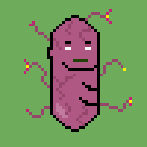 CryptoSausage tweet media