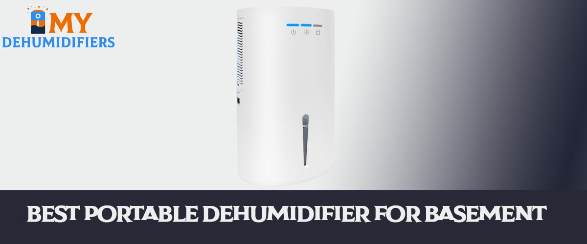 Best Portable Dehumidifier For Basement in 2021
visit :mydehumidifiers.com/best-portable-…
#UEFA #canceldreamstans #Tony #SlaviaPrague #OnTheGround100M #FalconAndTheWinterSoldier #SmackDown #Big10 #HatchAct #Darth #Australia #ZackSnyderJusticeLeague #Bitcoin #Dehumidifiers #Bestdehumidifiers