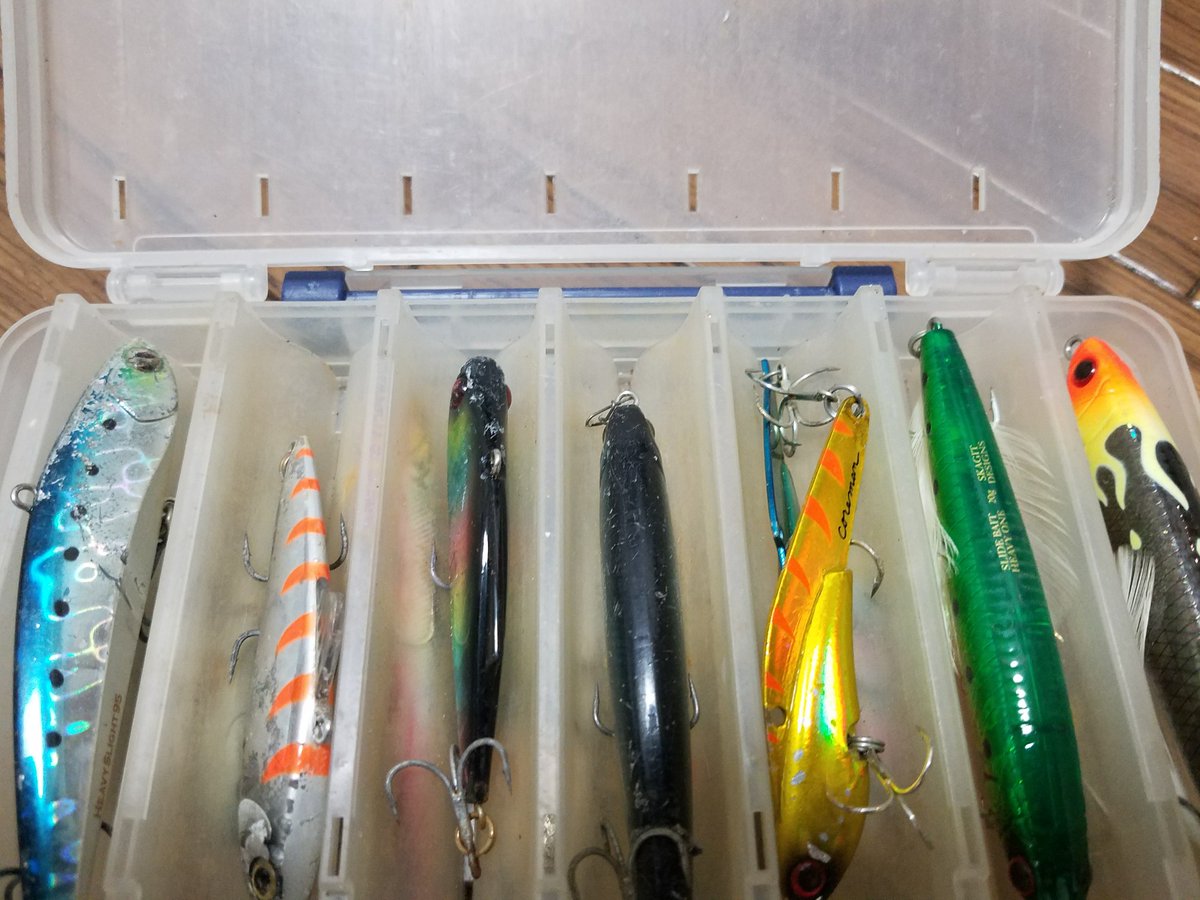 シーバス釣り攻略法 釣り歴30年 たった 3分 でわかる デイゲームでシーバスを釣るためのルアー選択術 T Co Ew4gjxp97v シーバス釣り ルアー釣り 若洲海浜公園 シーバスロッド シーバス釣り攻略法 釣り歴30年 たった 3分 でわかる デイゲームでシーバスを釣るためのルアー選択術 T Co Ew4gjxp97v シーバス釣り ルアー釣り 若洲海浜公園 シーバスロッド