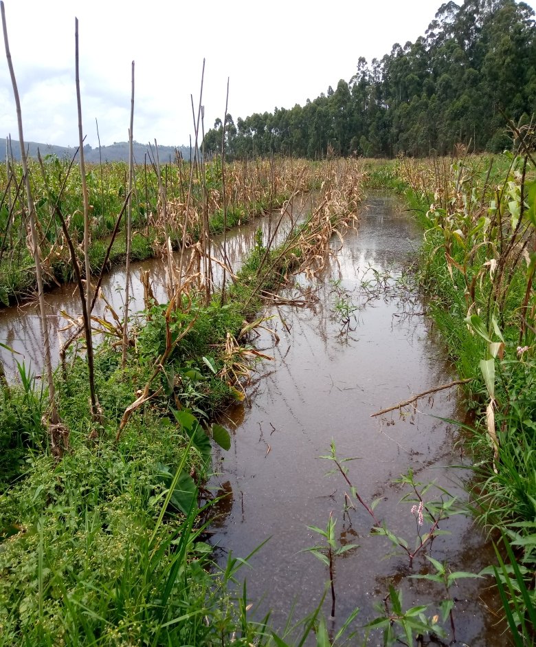fredsebasaza's tweet photo. The rate at which natural resources are being exhausted.
I wish the relevant stakeholders new that Uganda is a developing country.
In case of any natural disaster like floods. The loss  is huge and hard to recover.
@MUCCA4mak 
#SaveBugomaForest
@NFAUG 
@OxfaminUganda https://t.co/CD9CYZ1TVY