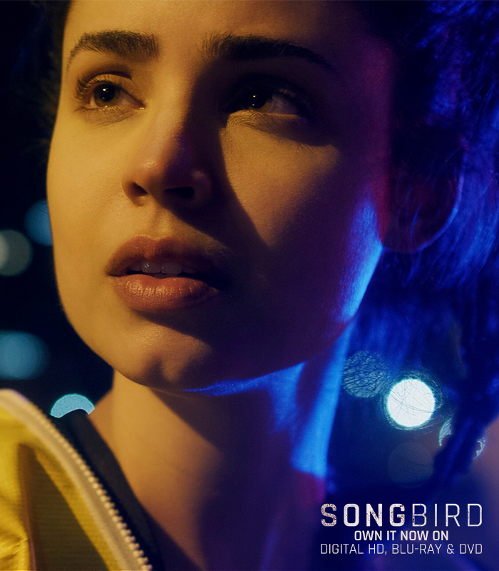 Songbird tweet media
