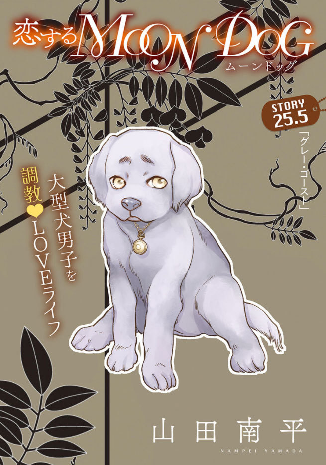 白泉社のWeb雑誌「花ゆめAi Vol.29」と
「恋するMOON DOG」の第25.5話が3月20日より発売中!
ご利用の電子書店さんで「花ゆめAi」または各作品タイトルで検索してみてください(*'▽`*)
山田先生のブログ記事はこちら→ https://t.co/ZXjjMAs2sc
#花ゆめAi
#恋するMOONDOG (#恋犬) 【byスタッフ】