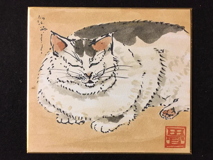 好みのねこ。 