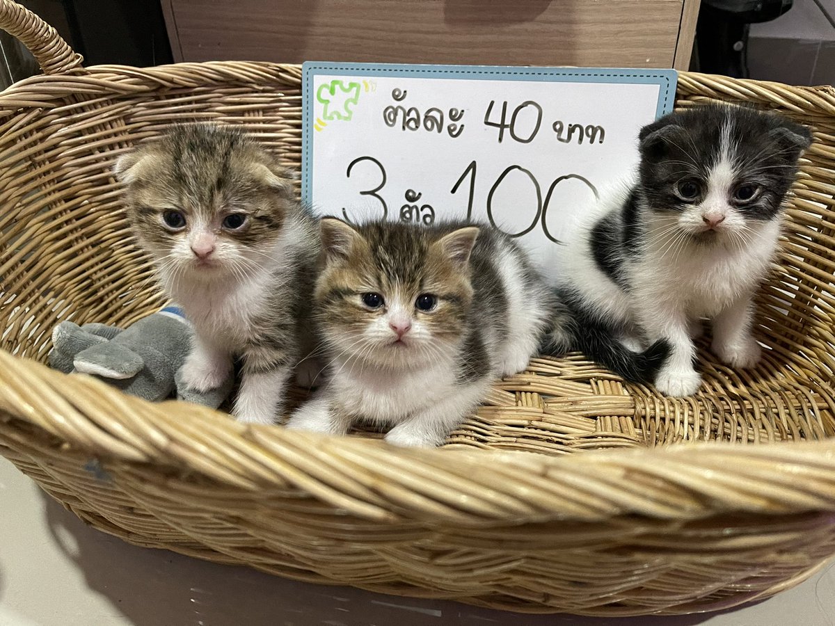 ขายถูกๆจ้านัดรับได้