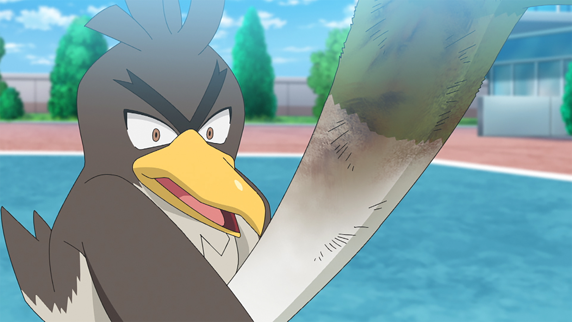 ポケモン情報局 公式 焦げたネギでも戦っちゃう そう ネギマスターならね カモネギ がどんな戦いを繰り広げたか 気になる方はこちらからどうぞ T Co Upyhdfjjqd アニポケ ポケモン情報局 公式 焦げたネギでも戦っちゃう そう ネギマスターならね カモネギ がどんな戦いを繰り広げたか 気になる方はこちらからどうぞ T Co Upyhdfjjqd アニポケ