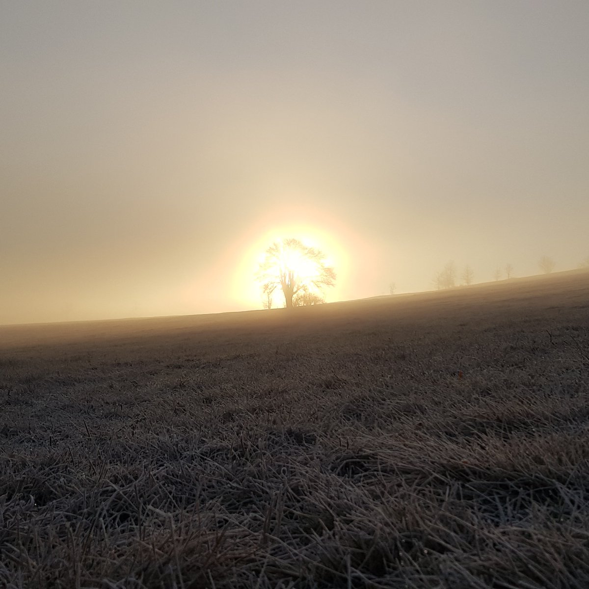 GrahamFieldRTW's tweet image. Happy Equinox 

#bulgarianlife #equinox #burningtree #spring
