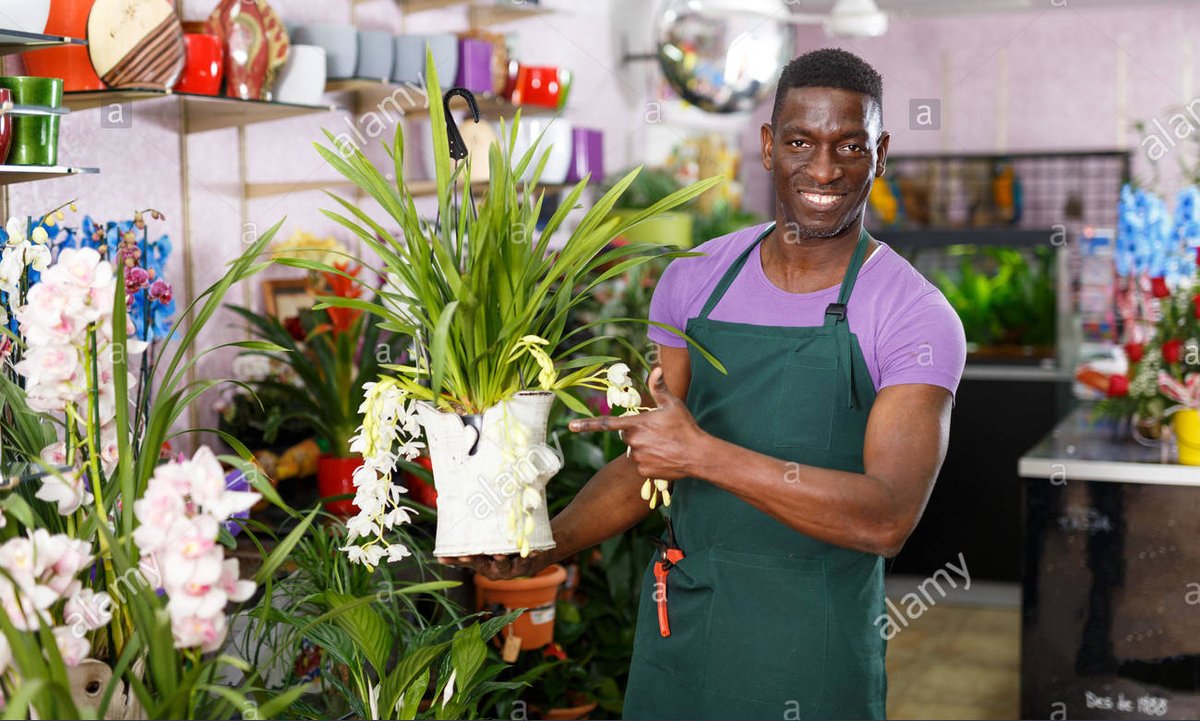 Flower business changing. Best way to brighten and make fragrant this Saturday is a bouquet of flowers. Nairobi and Johannesburg have the most flower shops but now with internet everyone is served even if a shop isn't convenient because of on-line ordering and same-day delivery.
