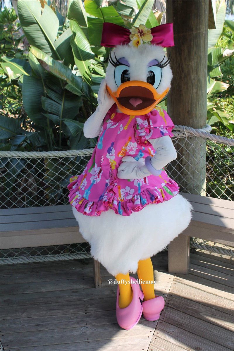 ドナルドダック