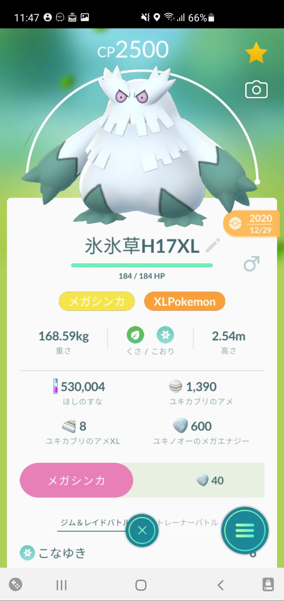 しーば Shiba ムキムキユキノオーいますが ハイプレで活躍するのかな ユキノオー入りのおすすめパーティあったら試したいので どなたか教えてください ポケモンgo Gbl T Co Eeexi5mrtj Twitter