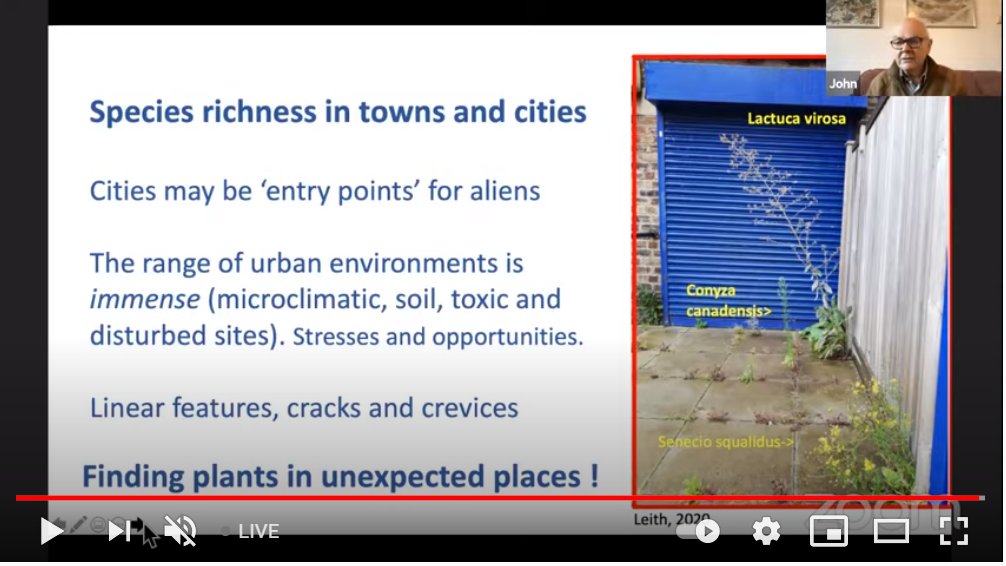 BSBIScotland's tweet photo. Now at #BSBIScotSpringConf John Grace talking about the Urban Flora Project run by our sister society @BotSocScot. Recording species richness in our towns & cities. #UrbanBotany #pavementplants #morethanweeds
@morethanweeds @wildflower_hour @nervousbotanist @joshual951 @kwid79 https://t.co/1h2EeRu1pv