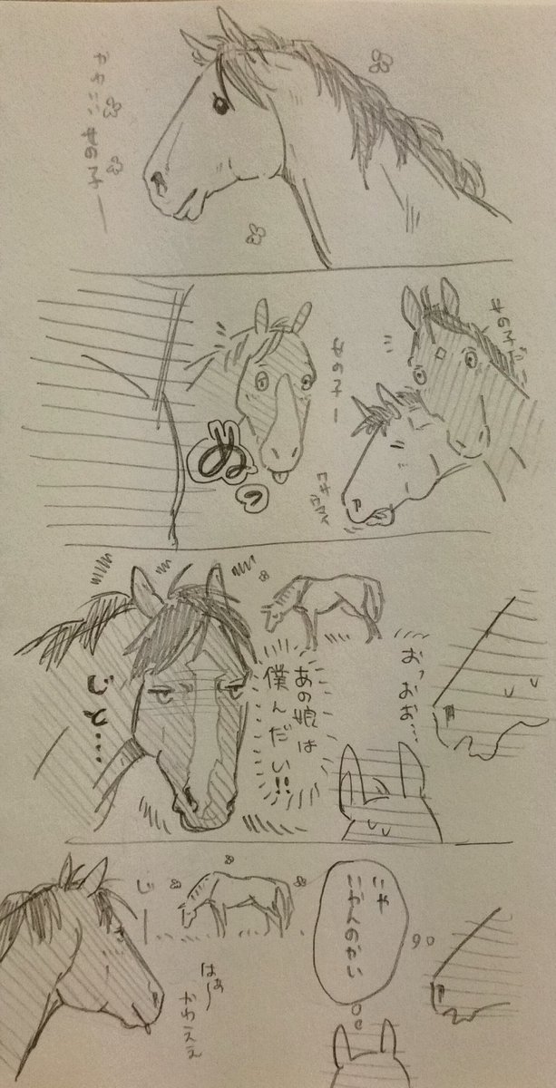 見つめるだけだったビーくん 