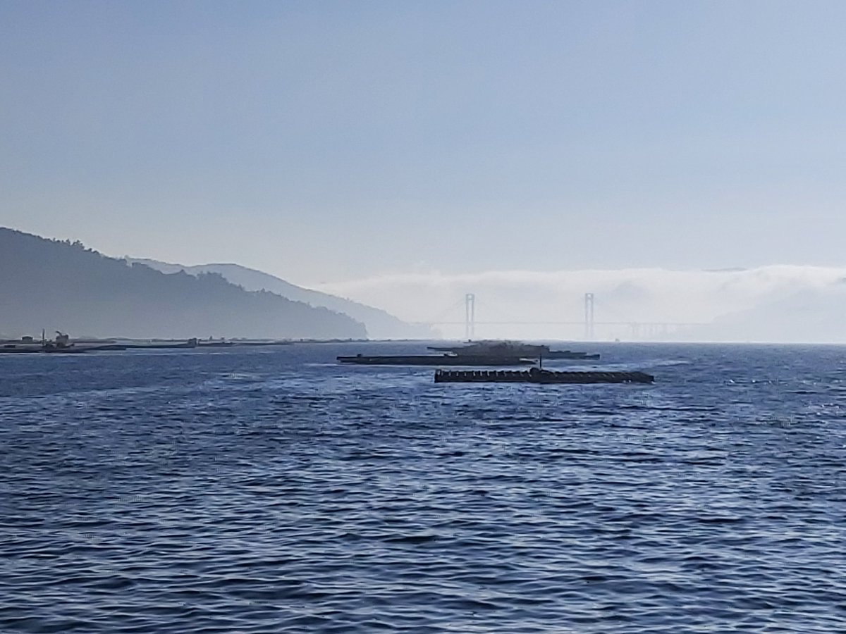 Xabi196420's tweet image. Bos días!! #RíadeVigo #PonteDeRande #Bateas #Moaña #Néboa #Mar #Sol