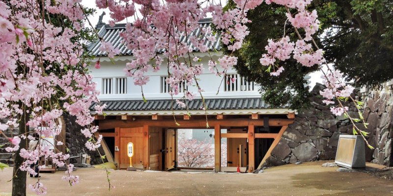 JapanTravel's tweet photo. The final weekend of our #47prefectureproject is here! For the next two days we’ll be exploring #Yamanashi, and we thought we’d keep it seasonal and introduce you to some of the region's best #cherryblossom spots! 🌸🗻
Learn more: https://t.co/69xUu0i4S5 #JapanTravel #MyJapan https://t.co/bfNGV3NTJf