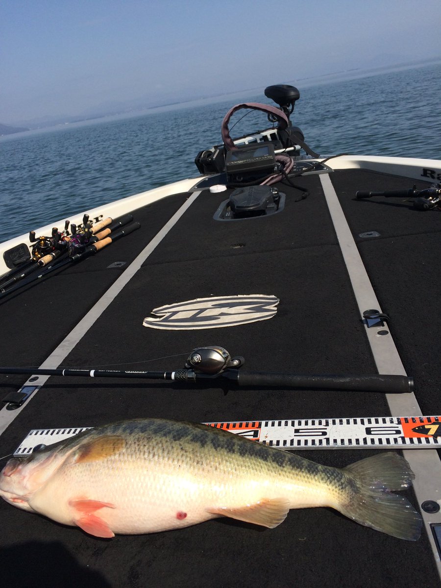 YuuKominami1985's tweet photo. 沖縄の海から琵琶湖へ
沖縄から帰ってきて一発目からロクマル捕獲!
しかも余裕の4キロオーバー
琵琶湖楽勝!最高!!
#イマカツ
#IMAKATSU
#PerfectionofHearts
#ペルフェクションオブハーツ
#琵琶湖バス釣り
#バス釣り
#ロデオライド
#ロデオライドリバイバー
#RODEORIDEREVIVER
#ベントリスト https://t.co/1qfeWpztYc