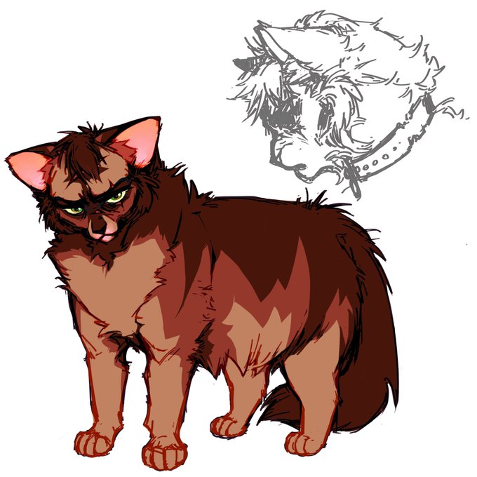 Коты воители острозвезд картинки