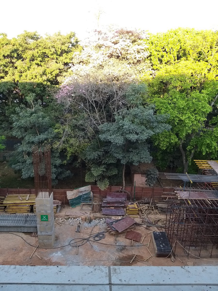 saneyedoc1's tweet image. #RVRoad 
#Nature survives