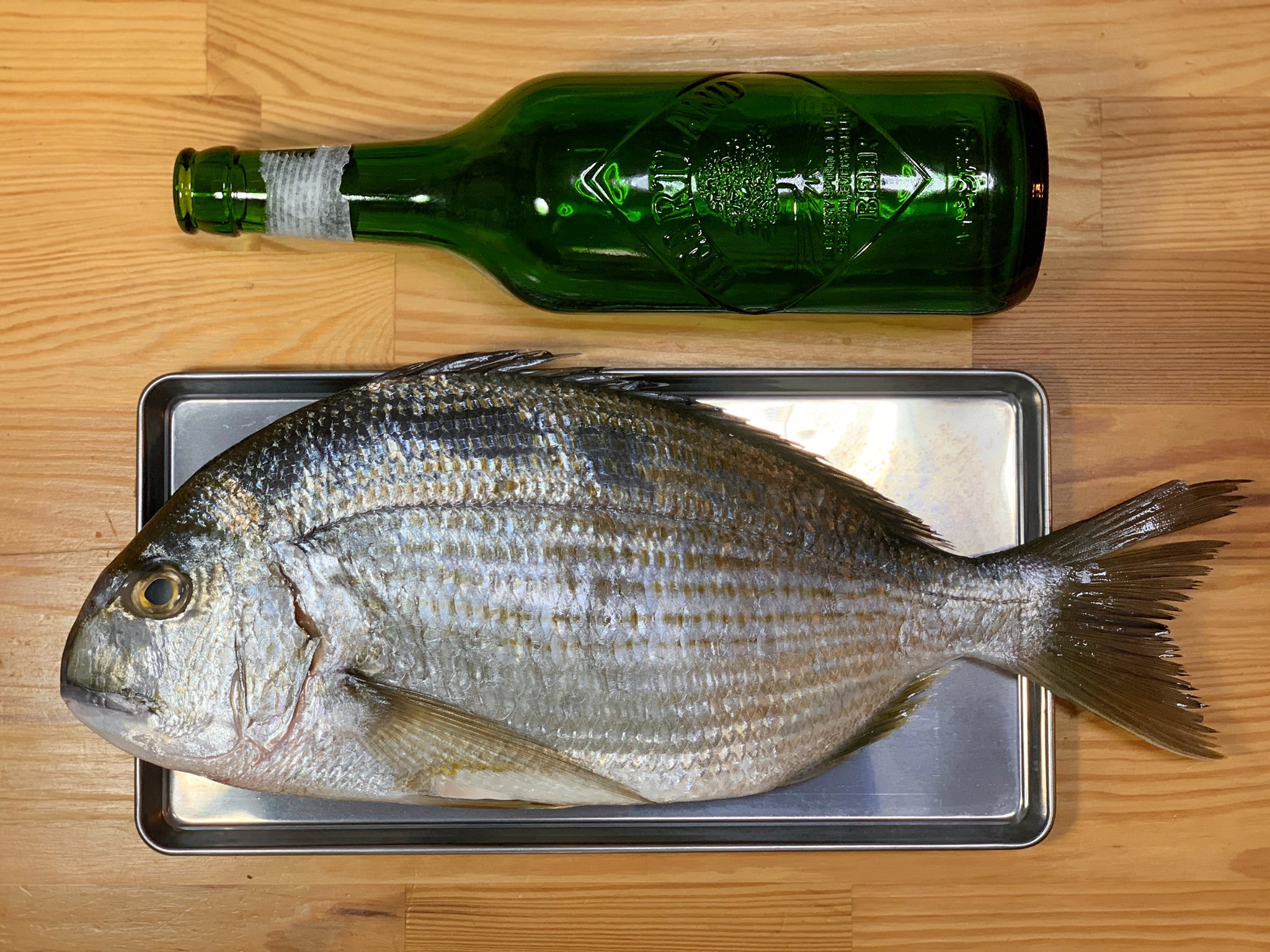 小松邦岳 Kunitake Komatsu ヘダイの刺身 塩焼き 刺身は柔らかく ネッチリと甘い こりゃ美味しい ヘダイの塩焼きは脂乗ってる コレも美味しいねー 卵も肝も合わせて塩焼きに いいサイズあったし いいお味でした 今日は僕の調理だったのですが