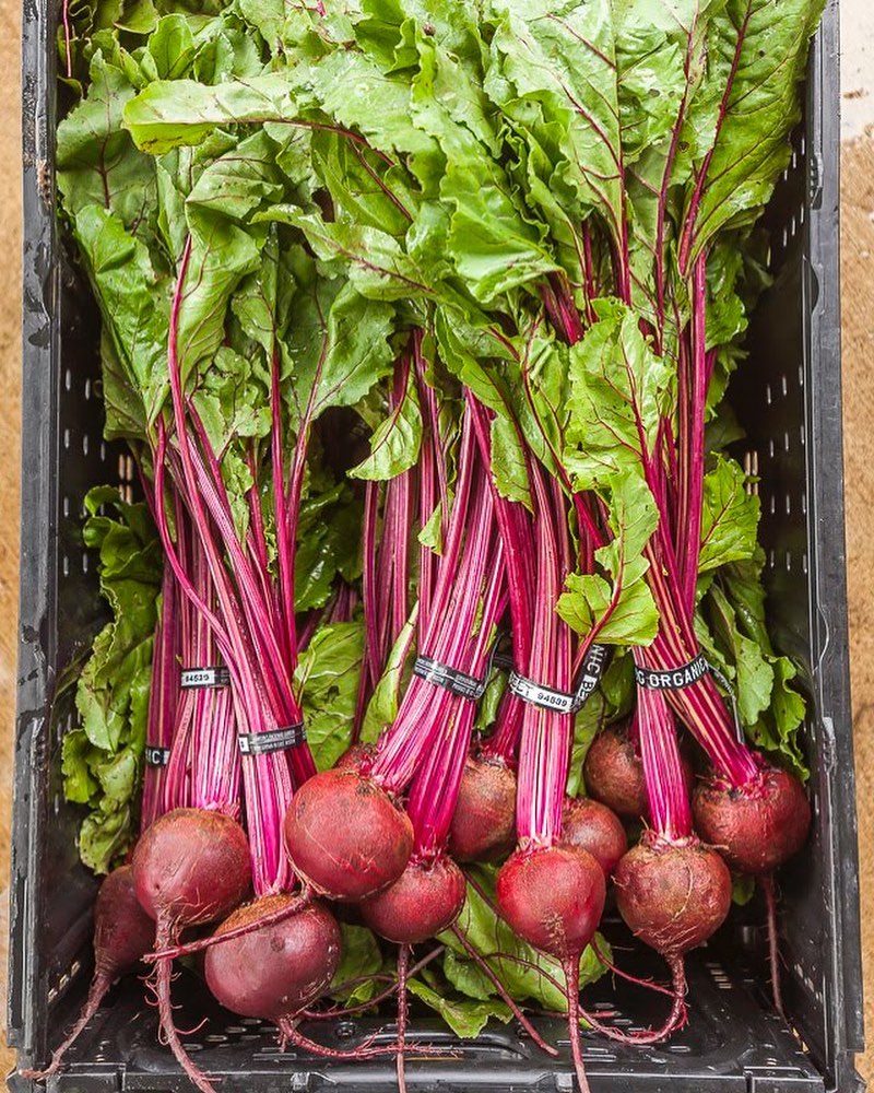 Salad Mix, Green Garlic, Beets, Chuck Roasts and More! Plus live music from Bob Slaughter! Read our vendor spotlight (hand-made products!) and come out to the market on this gorgeous Saturday! conta.cc/3vFEzby
