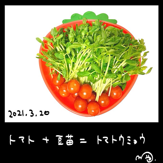 ひとこと日記のtwitterイラスト検索結果 ひとこと日記のtwitterイラスト検索結果