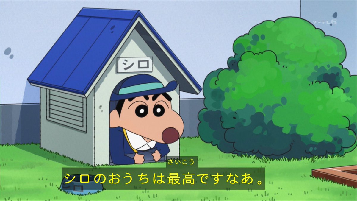 注目ショップ クレヨンしんちゃん シロの小屋 犬用品 News Elegantsite Gr