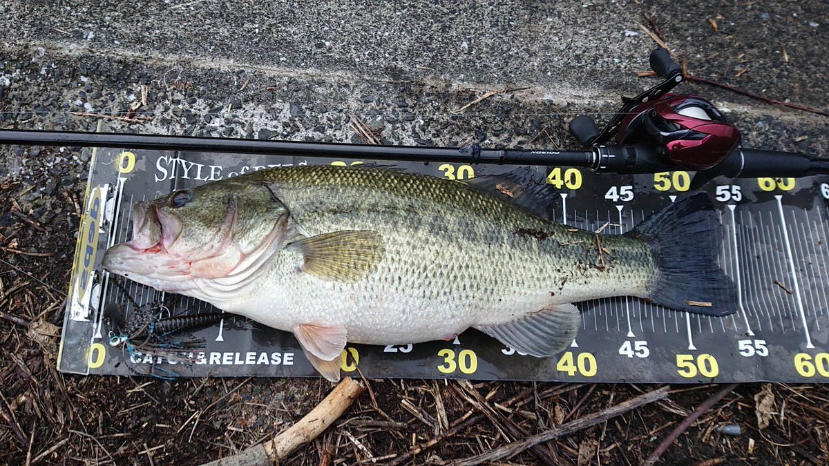 Yuukipi の画像 動画一覧 Whotwi グラフィカルtwitter分析