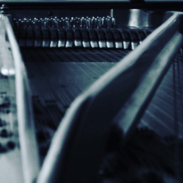 Piano Anatomy #newpianomusic #newalbum #pianist #extendedpianotechniques  #pianosoundscapes #electonicmusic #acousticmusic #electroacoustic  #jazzpiano #newjazz #folktronica #electronica #instrumentalist #womenmakingmusic  #womenproducer