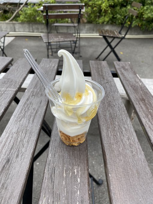 前回やり残した事は出来たので満足!あと登山中つらすぎて寄り道したヨーグルトソフトはちみつ乗せが美味すぎた😊 