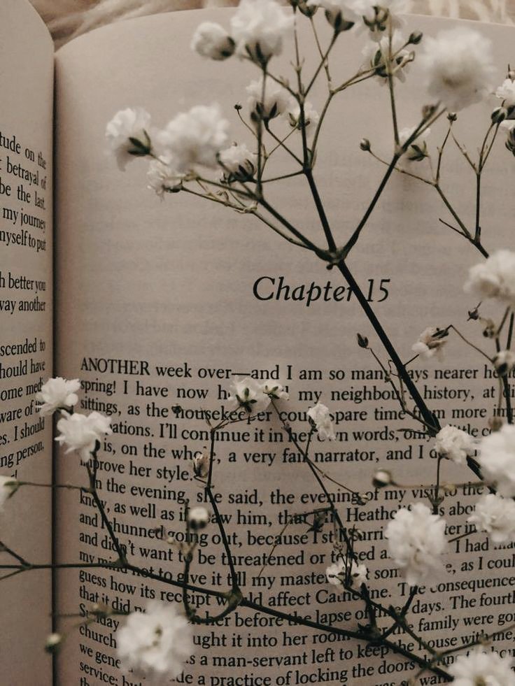 CosyBee2's tweet image. Which is your favorite book?