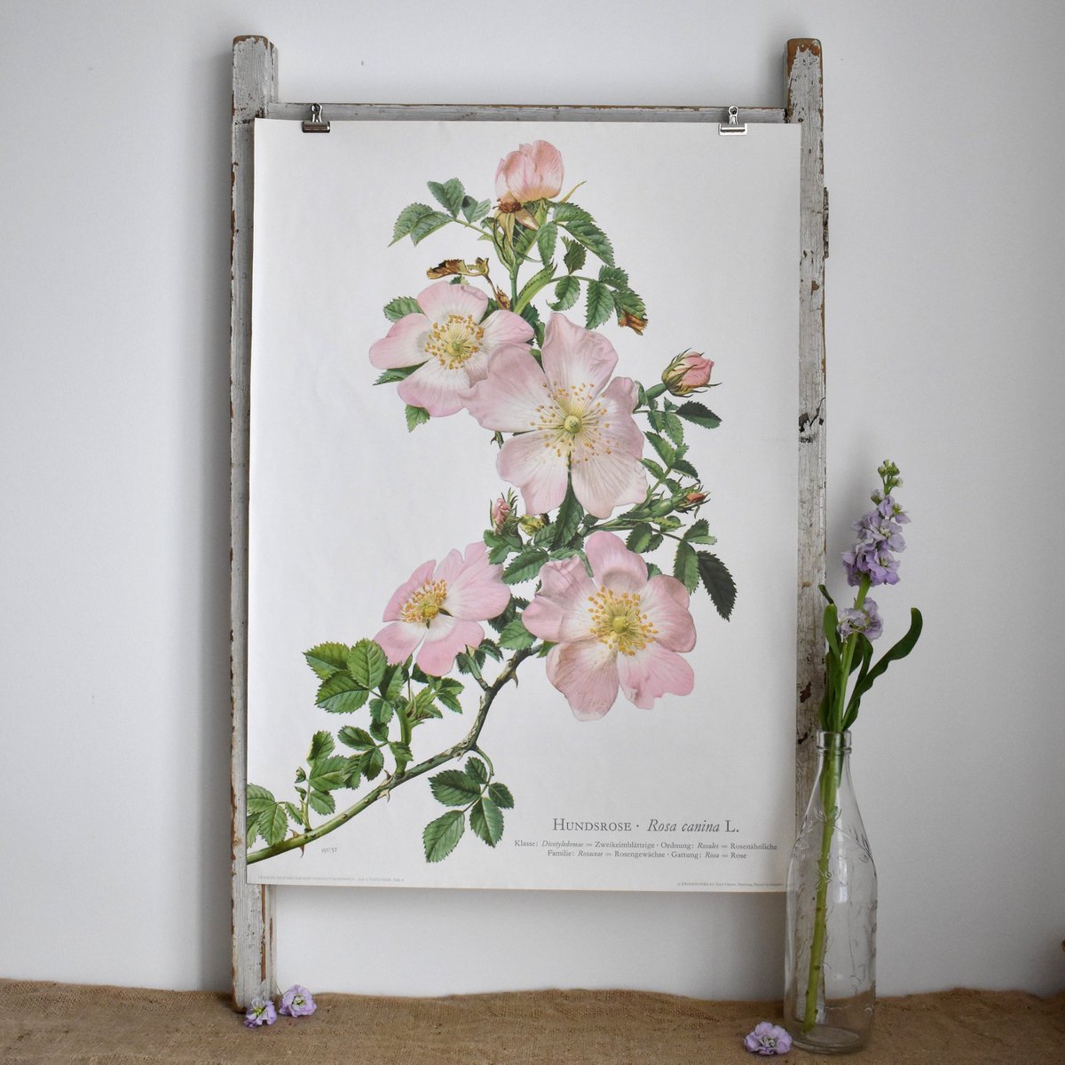 Good morning. This beautiful vintage linen-backed botanical print is our lot for the <a href="/VirtualVintageF/">VirtualVintageFair</a> charity auction in aid of <a href="/alzheimerssoc/">Alzheimer's Society</a>. Taking place over on Instagram from 9am today - do head over and place a bid if you can - it's for a wonderful cause #virtualvintage