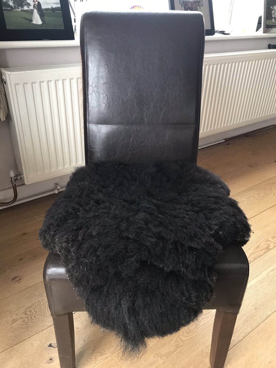 WelshTannery's tweet photo. GRAND SLAM SATURDAY GIVEAWAY!! 🏉 🏴󠁧󠁢󠁷󠁬󠁳󠁿 🇫🇷 
In anticipation of a great game and hopefully a grand slam for Wales tonight we are giving away a seat pad / micro rug 🐏
To enter Retweet, Like and Follow us @WelshTannery 

 ends 21/03/21 #win #welshorganictannery https://t.co/ojCZg9NhCV