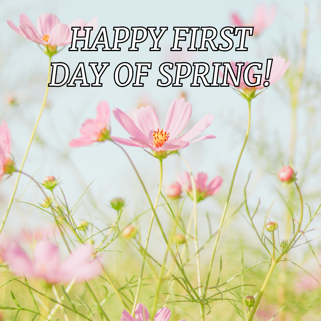 Happy First Day of Spring!  #SpringBegins