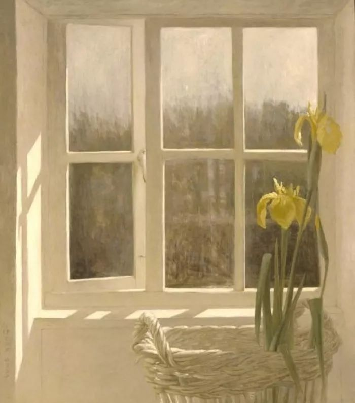 Spring Equinox blessings, as we turn our faces towards the sun 🙏🌻 xx 
#SpringEquinox #spring #Sacred #Somerset #Seasons