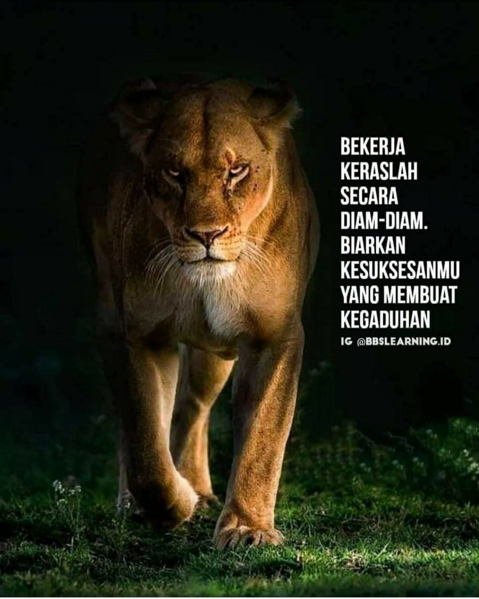antonius_dhs96's tweet photo. .... setuju ya, https://t.co/gGN76XpPSb