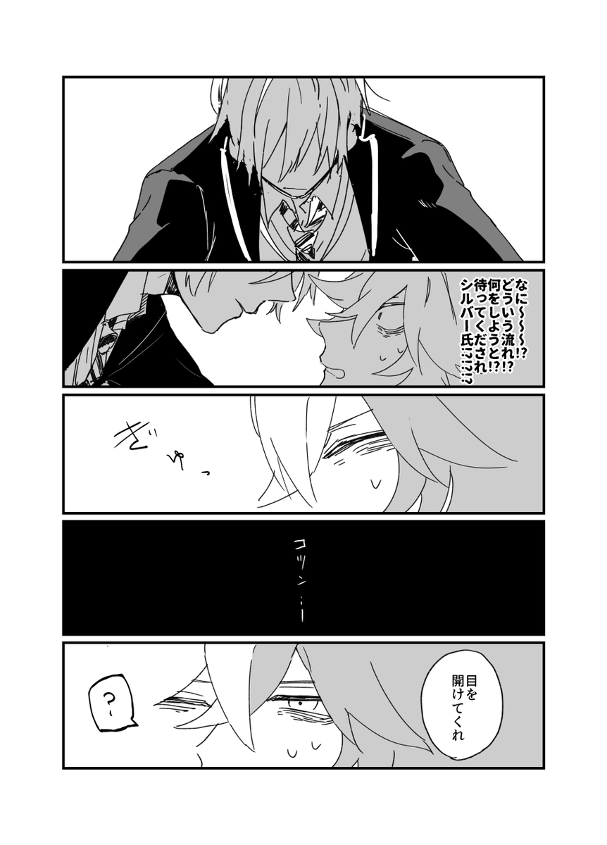 シルイデ 