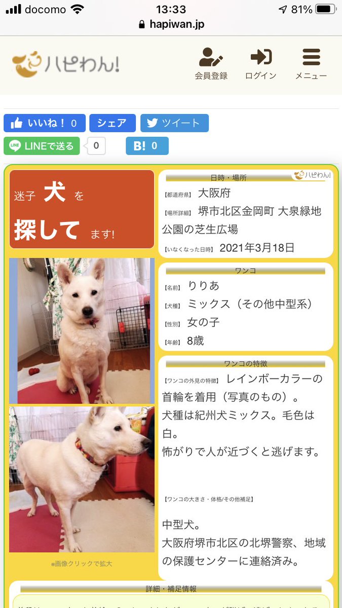 迷子犬探してます りりあちゃん 雨降ってきてるのに りりちゃん どこにいるの 早く見つかりますように 迷子犬探してます りりあちゃん 雨降ってきてるのに りりちゃん どこにいるの 早く見つかりますように